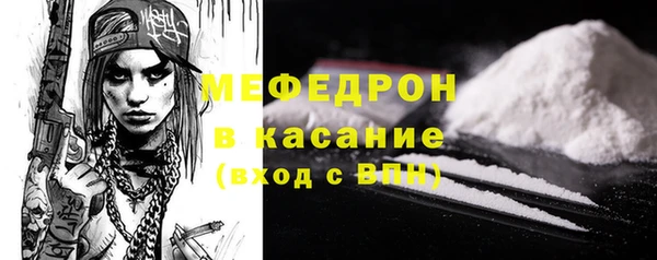 МДПВ Бородино