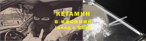 МДПВ Бородино
