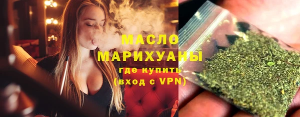 МДПВ Бородино