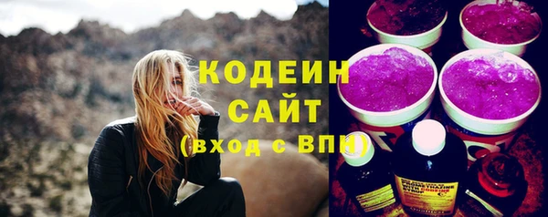гашик Богданович