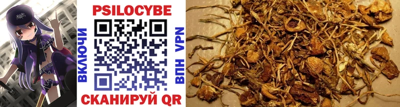 Купить где  Светлогорск  Псилоцибиновые грибы Magic Shrooms 